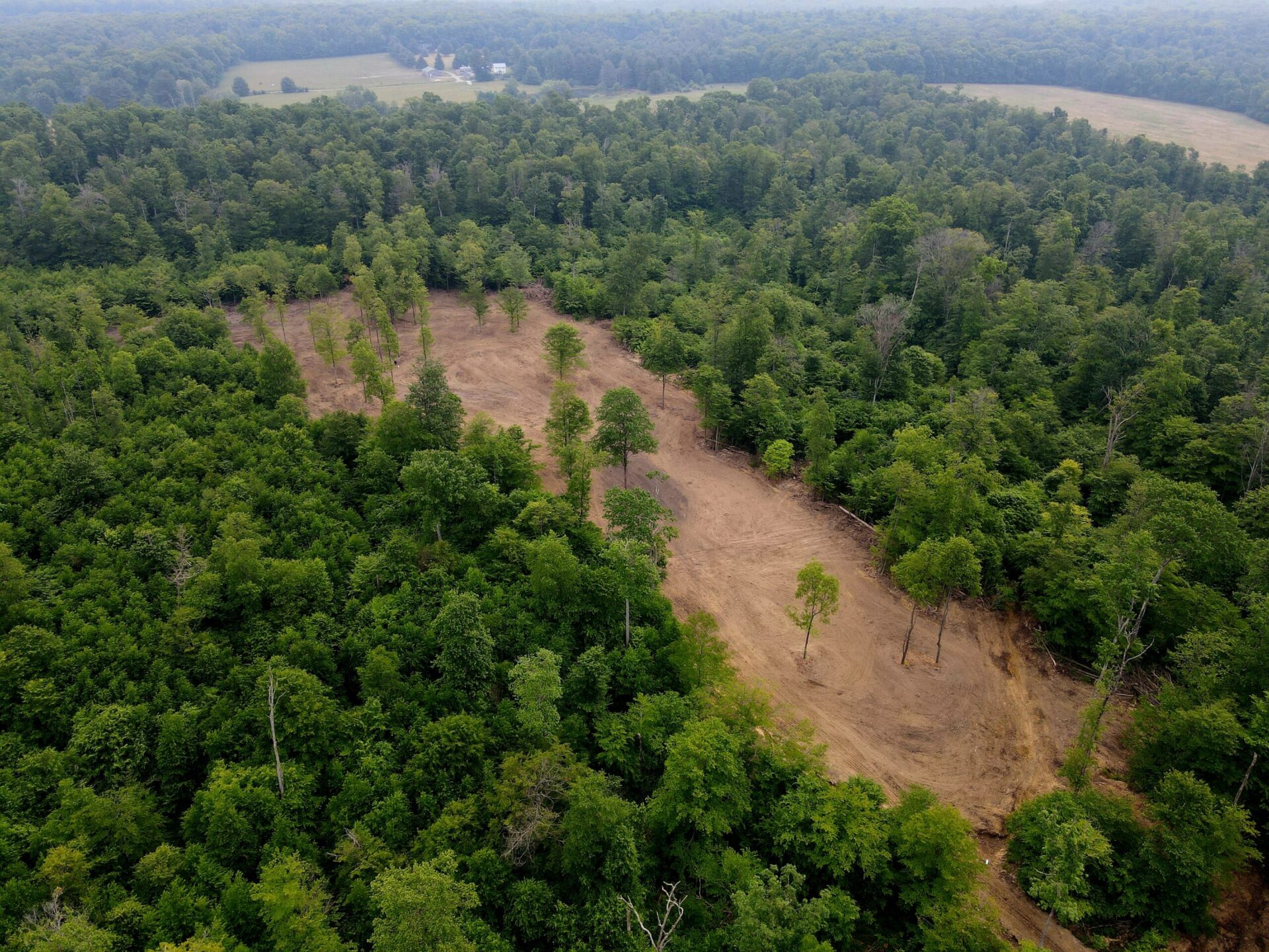 Designing The Perfect Whitetail Property Field Days Media