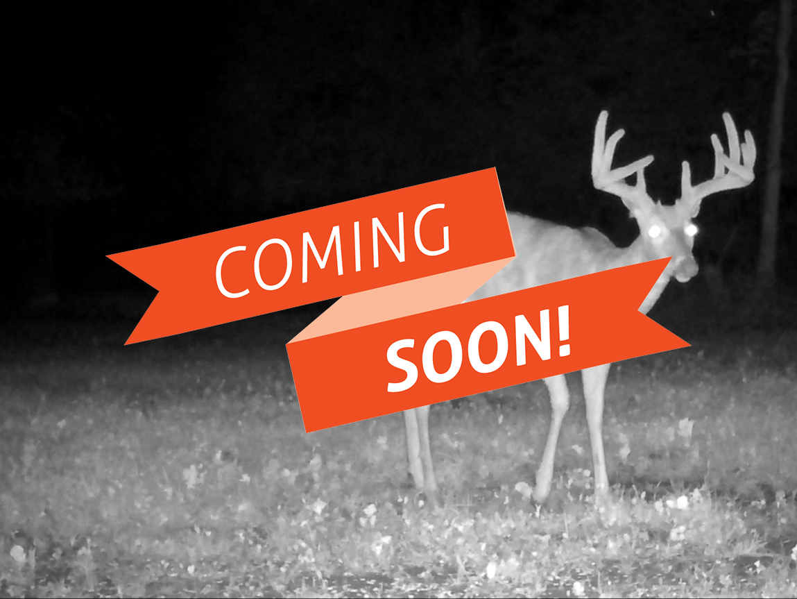 Hale Field Days Media